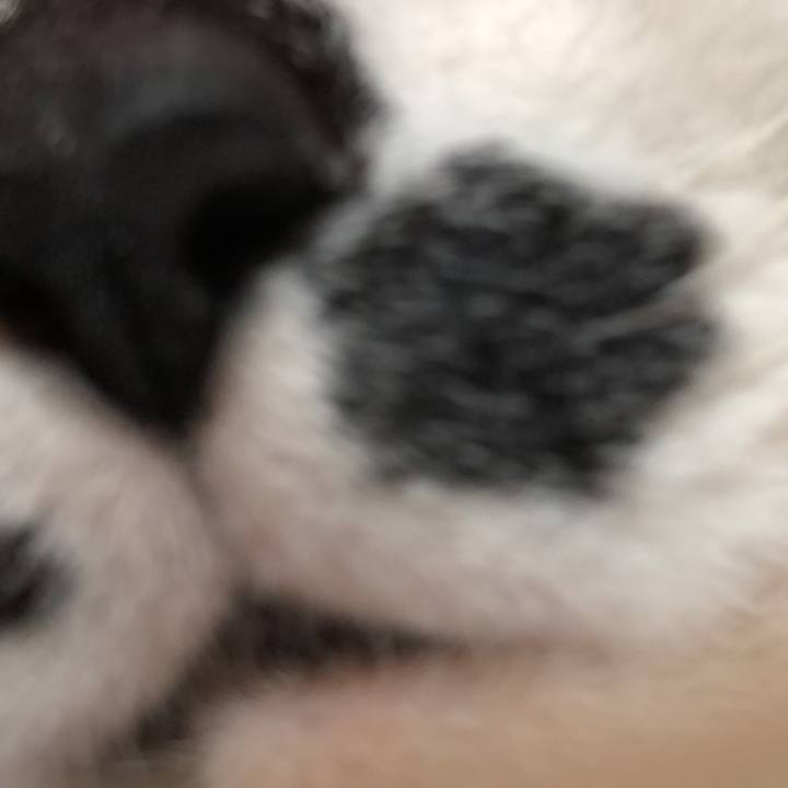 F6b9ea36 d8be 4590 9bc5 800f83624375 1576937565967