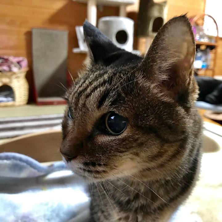 F6ba110a 92dc 486a a9df 2f9d608fe790 1555060833096