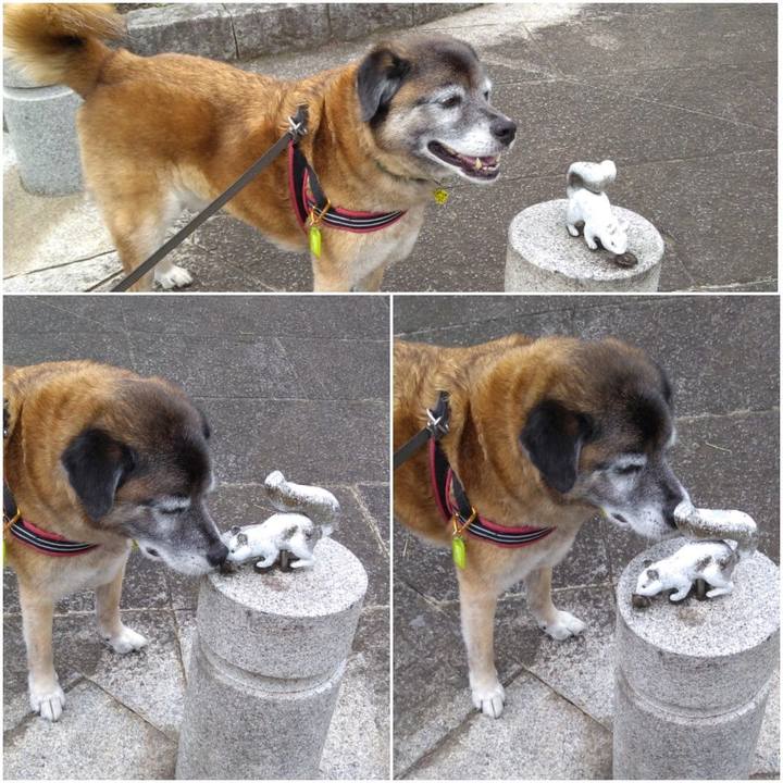 F6ba6bd6 835e 4ccc ad18 dda4d6172354 1562631219542