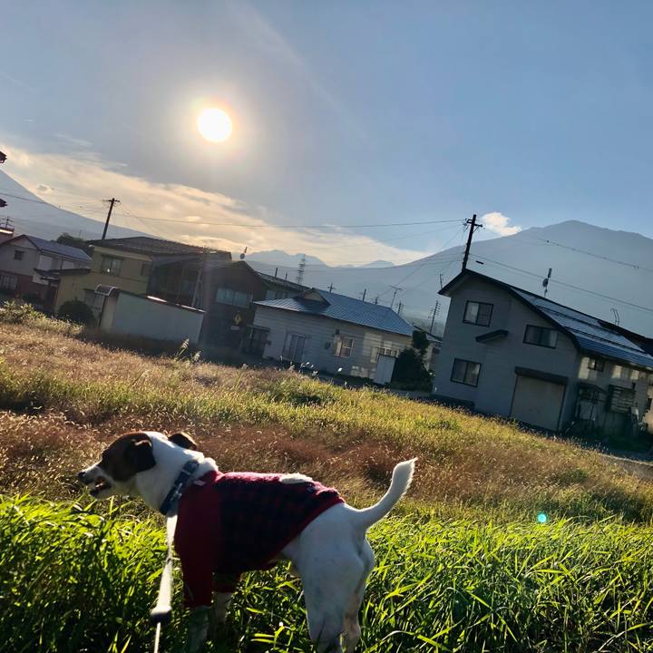 F6ba7e5d 44c9 4577 8158 5ab532bc6edb 1603274105804