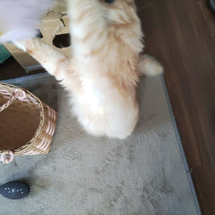 F6ba8b28 8144 4d99 9a00 db19dcfcbc93 1660515749263