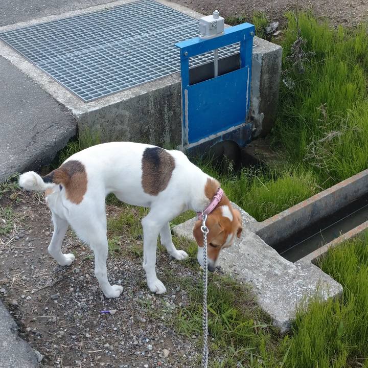 F6baeda7 e955 4515 8f64 0095d0628ffd 1589861045040