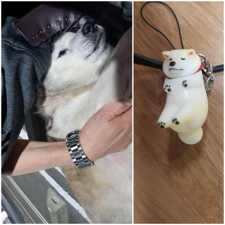 F6baf301 7c51 4351 b09a 723e5f61a2ae 1755510499592