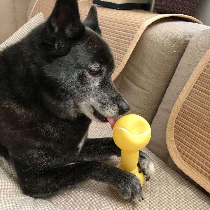 F6baf7f7 595b 4b9b b736 e3a30b63d9e2 1523539749892