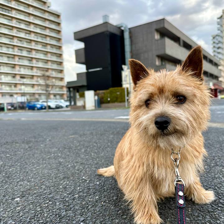 F6bb22a5 72e0 4289 be44 9b0db937122d 1742373766442