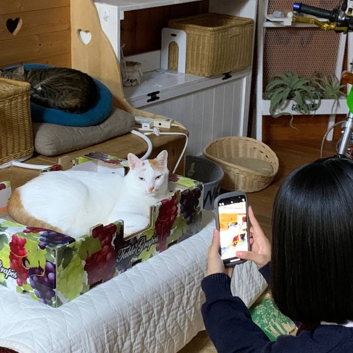 F6bb6249 a6bc 4fc6 8e9f 6383984d13f6 1668775507649