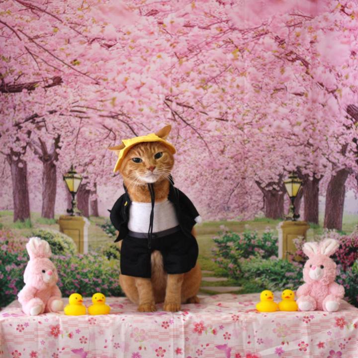 F6bb6e0d d433 442e 845f c1e2f8f38dd1 1775389943284