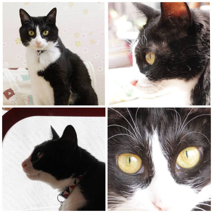 F6bb78e5 0be3 4886 8dae 9b3957b39d0d 1627182746426