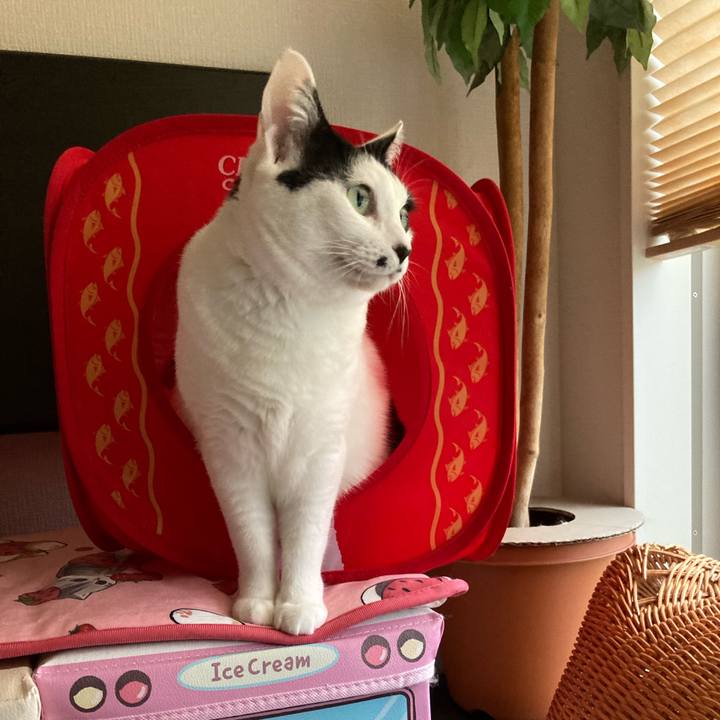 F6bb9a75 f252 4361 94d4 f2ad4c0ee760 1761083255421