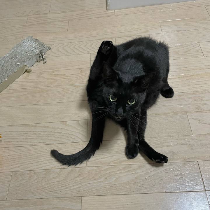 F6bbb22d daab 4f98 8846 a8f28ac23bb8 1685453323292