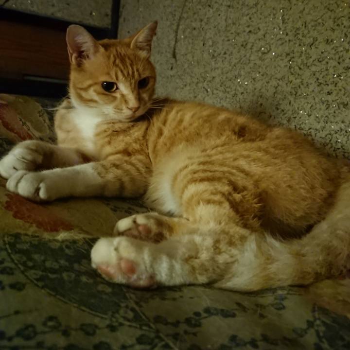 F6bbc321 a234 4def a1a5 3aad7051180d 1594732006696