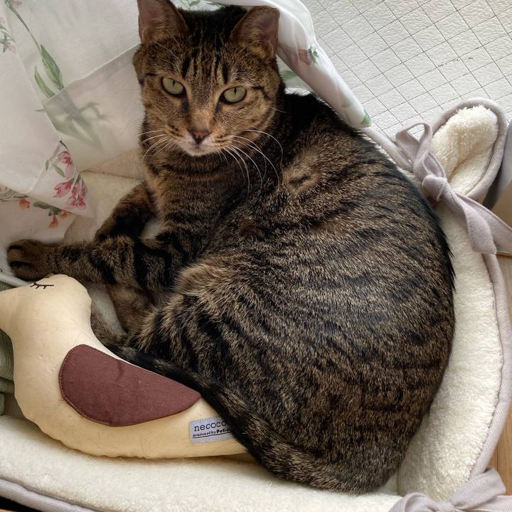 F6bbed58 6c3a 46d1 8400 4ead28ea5c04 1634949263541