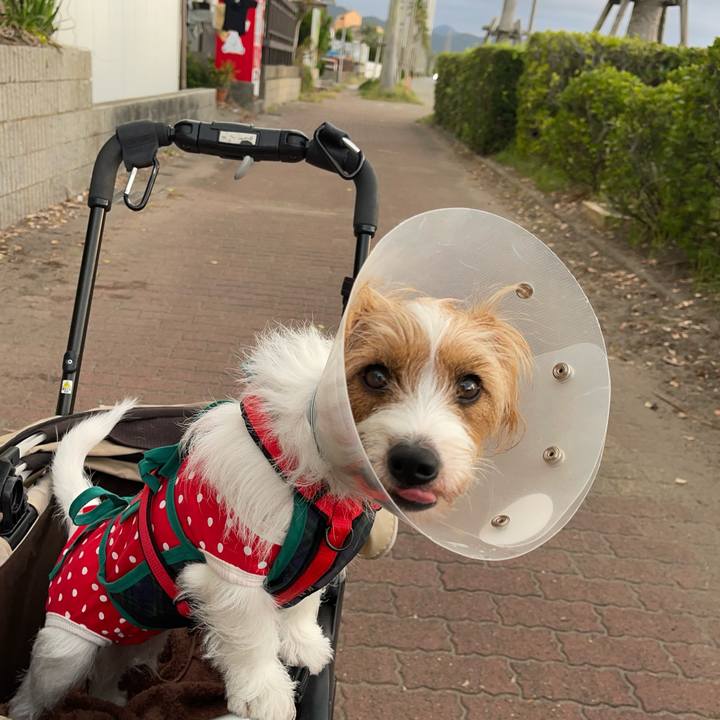 F6bc2a94 f846 4121 96b8 1d85d7320494 1759107378290