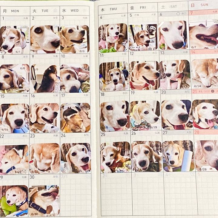 F6bc54f4 0551 4dcc b8cd 8f1789b96760 1594132130444