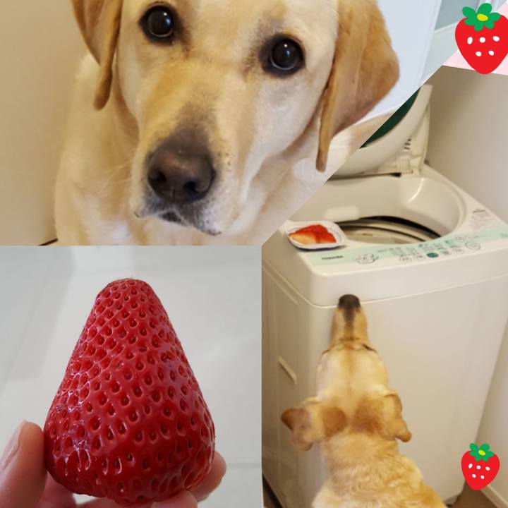 F6bc602b 0803 4efb b5a8 713717bc3858 1518575885342