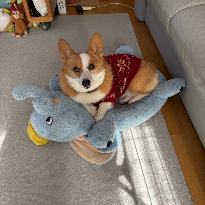 F6bc91f8 4495 4710 ba1a 0f4816c342ed 1768978070269