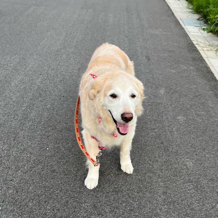 F6bc93de 25d1 4f5d 8a1a 36933a657132 1689197210765