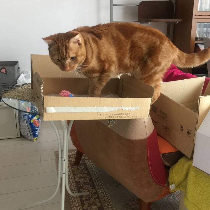 F6bcbd2b cd87 4813 814c 4234f37cf2b1 1532132972318