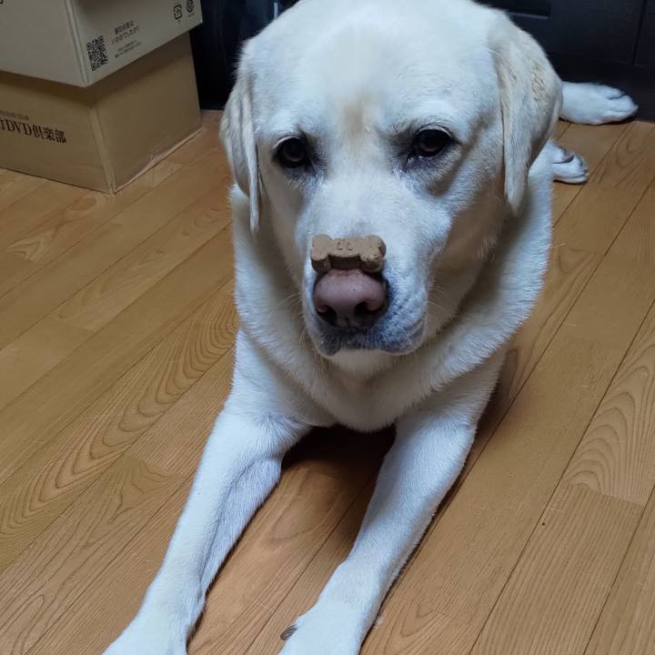 F6bcc4fe fb83 4829 be90 dc63fd9a8442 1655821049692