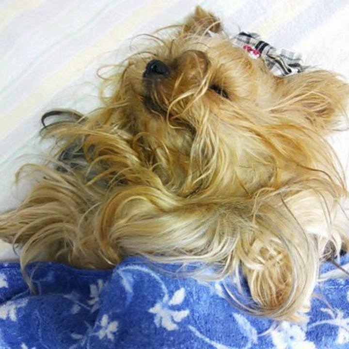 F6bcde10 442c 4485 b8ab d850b27d4795 1614491977395