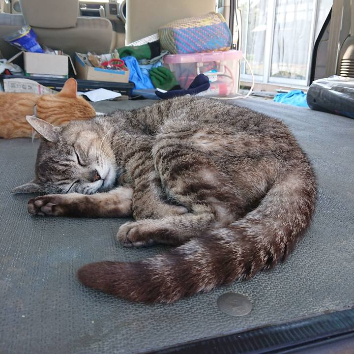 F6bce1b3 72ba 464a 8b7c 4c5f986b0f13 1591511475202