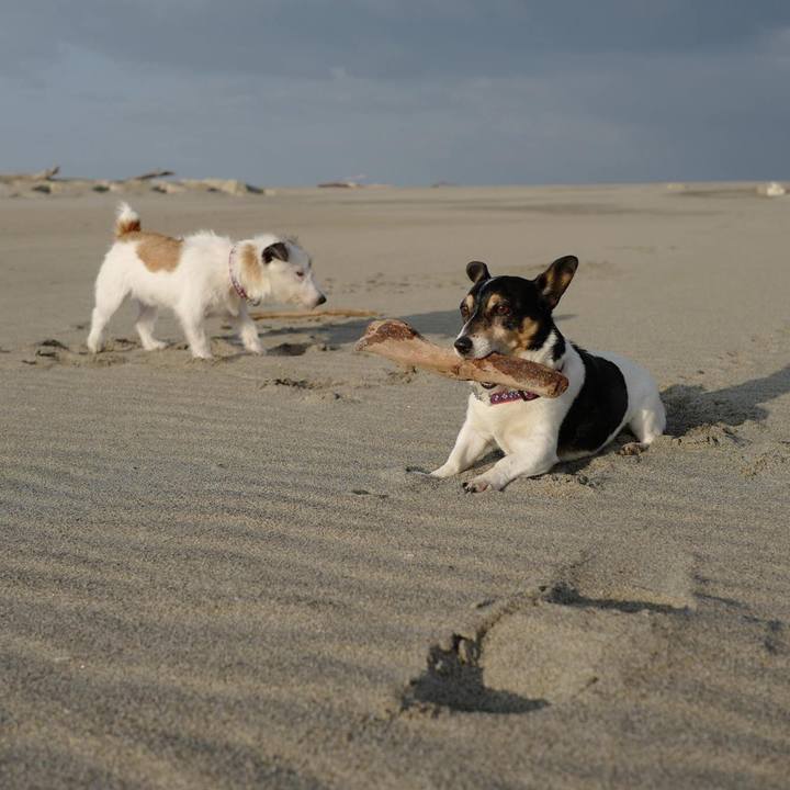 F6bd102f 3e19 447b bba0 67e5e73d3250 1510202598449