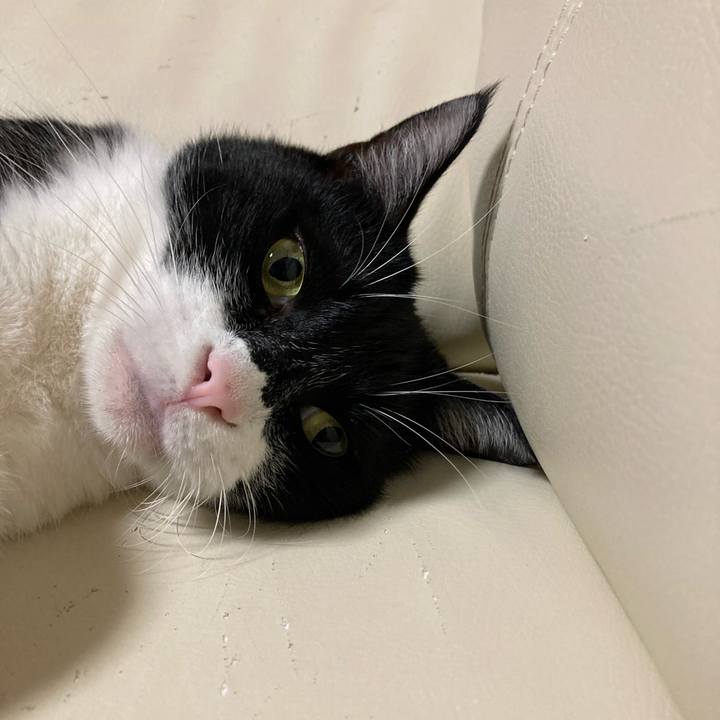 F6bd2152 7664 4df4 9188 1f4f47ca143c 1662305141115