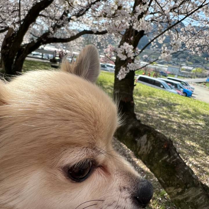 F6bd75f0 dcd4 429b 9c37 9ebd7ced6448 1680061716925