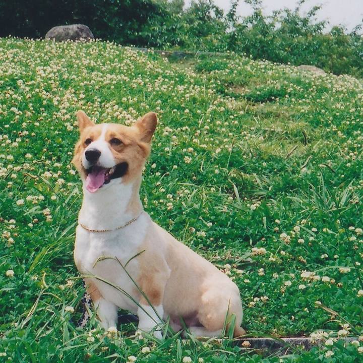 F6bd8ab1 c53a 43b5 b3a5 6e1a2eb5f18a 1591634320209