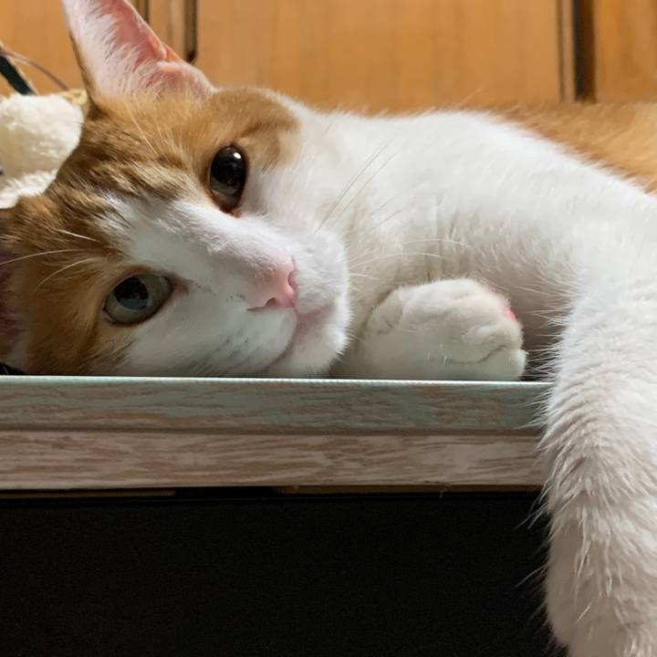 F6bdcb0d 5160 427e bb28 a8a37f33d4e2 1595627537859