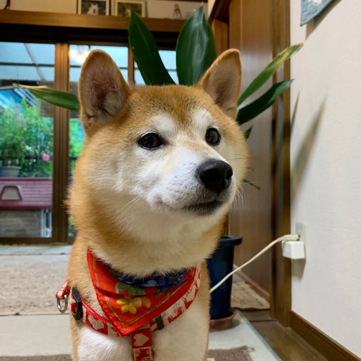 F6bdcc45 efa6 428f be72 0a92d90d4909 1602503704593