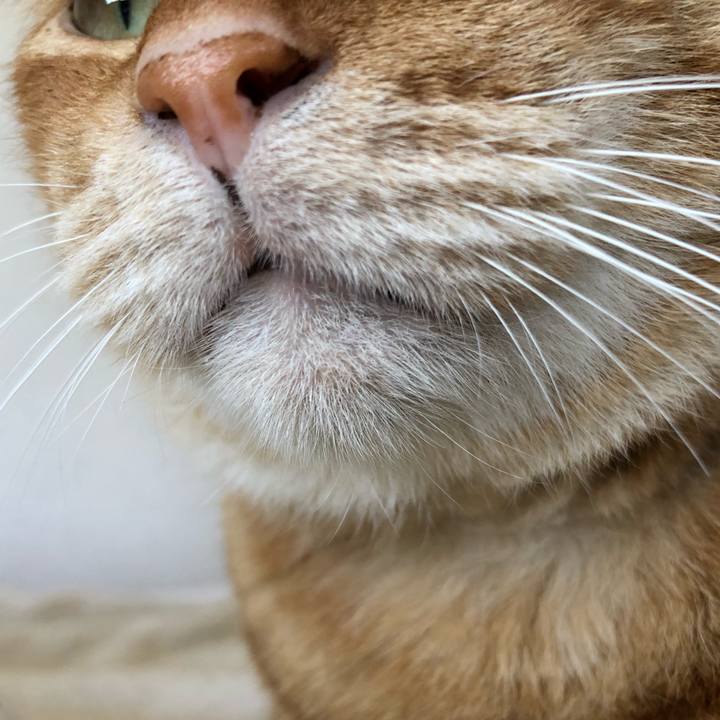 F6bde6d4 f9cc 42f5 923a acfbda91a004 1590813239711