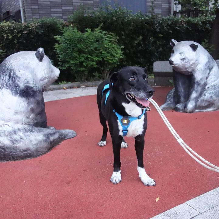 F6bdeaa9 ce71 48b8 be6b 7928626af079 1686219520592