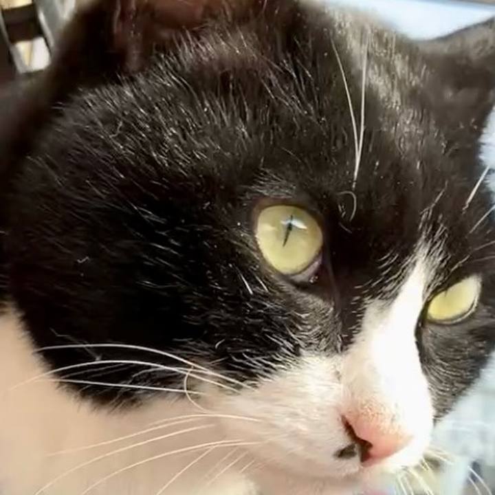 F6bdec78 ade1 415b 900b 9af9d621af8d 1737337089184