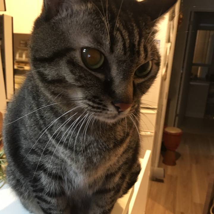 F6be09a0 9349 4d0a aa40 979150de1006 1575933349413