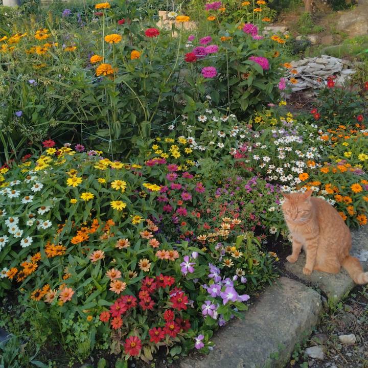 F6be3674 8bae 4e45 b0e3 6fbd0cf954ce 1721514015272