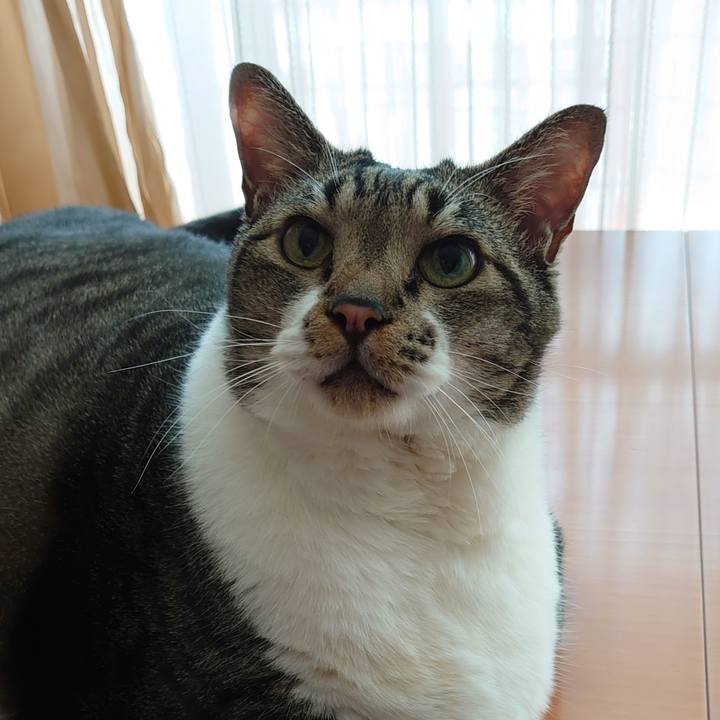 F6be9380 66b5 4af7 93a6 8588bce01ec0 1660003332132