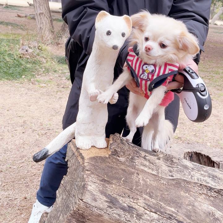 F6beb90e 25ff 4ef2 b84b edd18cce8dad 1737273378766