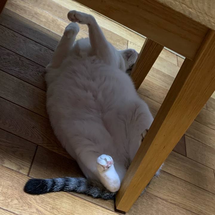 F6bedb23 11be 476a bed0 4cfe403e398d 1630377865983