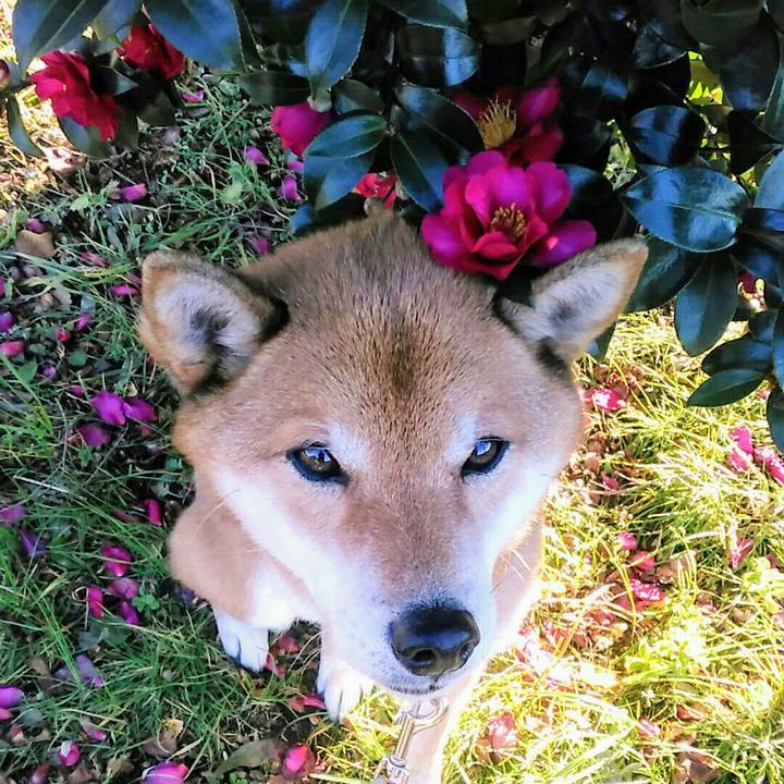 F6bef0c4 078a 43e8 b81a d0f936f27fb4 1578557129647