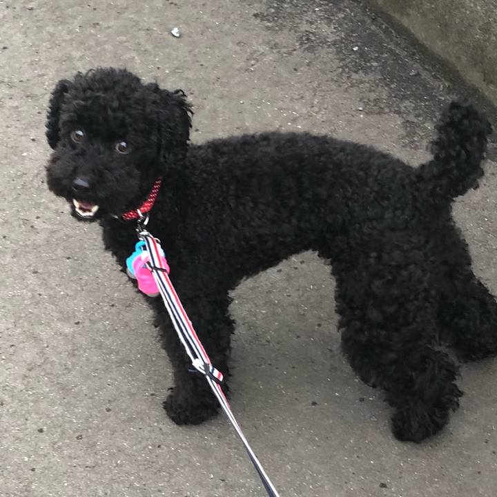 F6bf3e72 e1b3 45fe 8392 2ed4246cdd5c 1556694090509