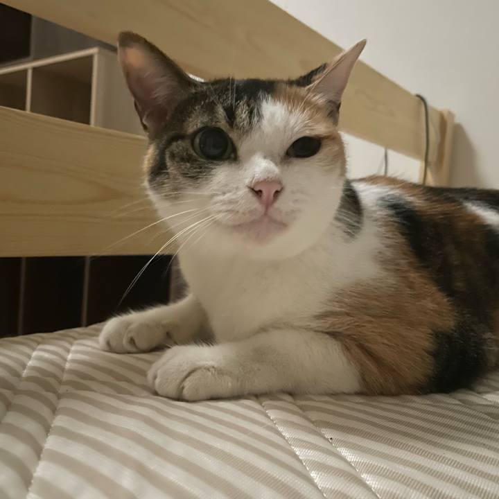 F6bf9fe9 1e22 44f8 99ca a85d3883117c 1663340078970