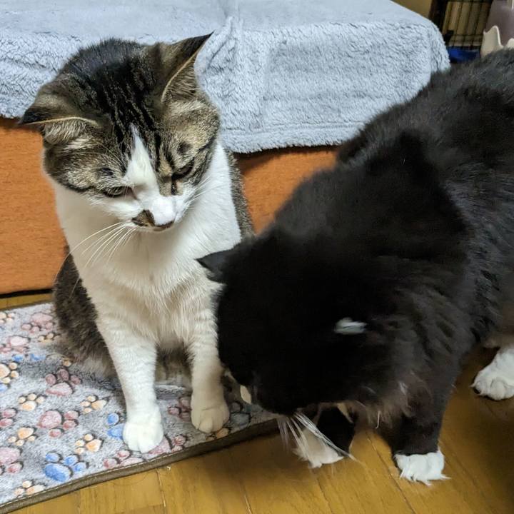 F6bfa848 2089 43c4 b994 0a4a423677f1 1682981120680