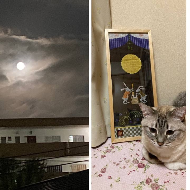 F6bfb793 0128 47bb bab5 c8bb4d145c74 1662809111311