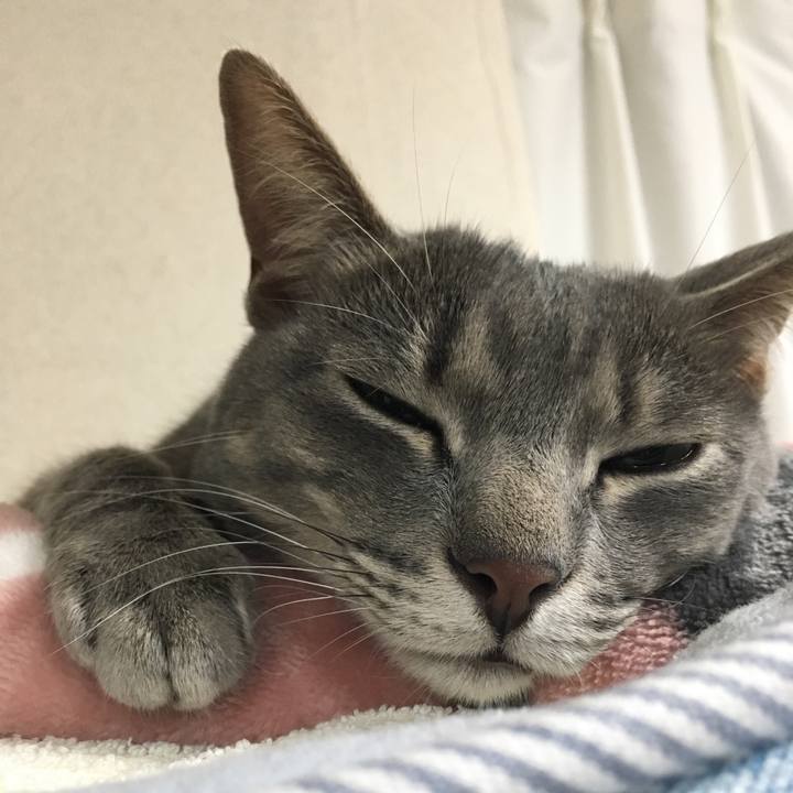 F6c01adc def8 47ca 8587 0e06b214293d 1519826276671