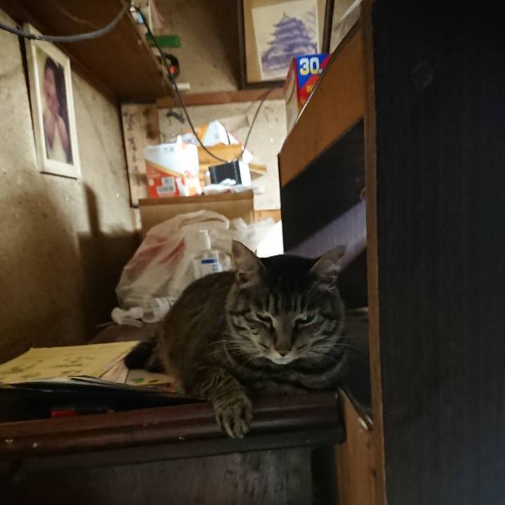 F6c029da aeb9 48d3 93d4 d25773784219 1656882288847