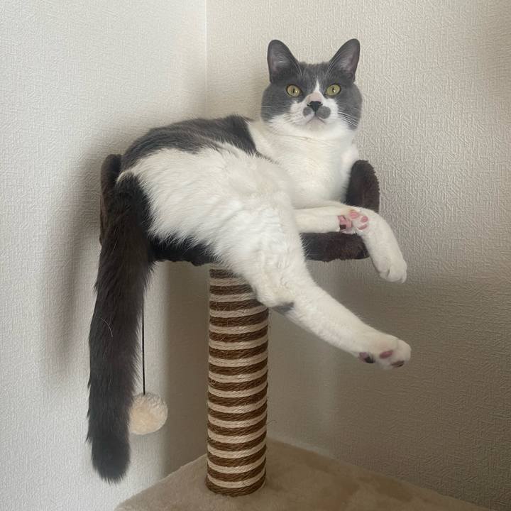 F6c050a0 e5e7 4f16 8ace 33fbde8c3b8c 1676592143618