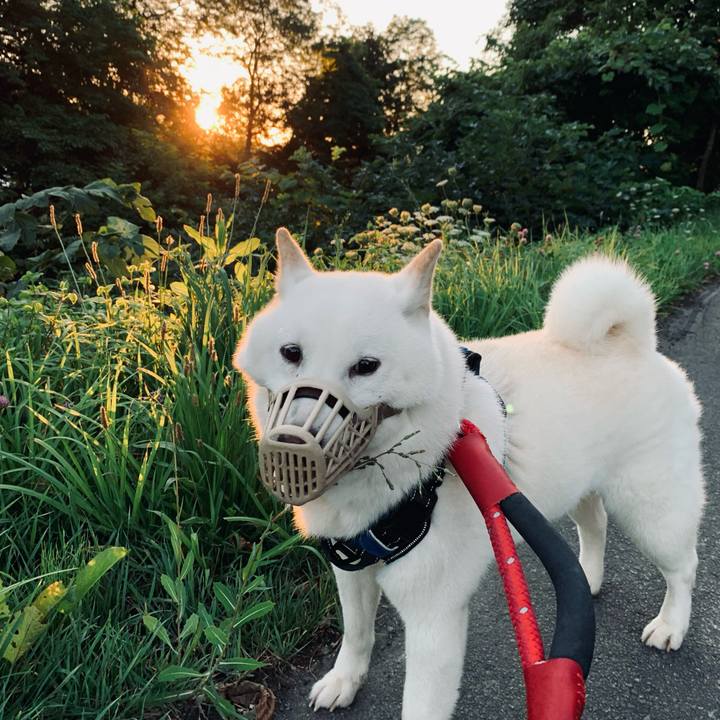 F6c0733b e962 4c94 a62d 93cf41e1a230 1661027486224