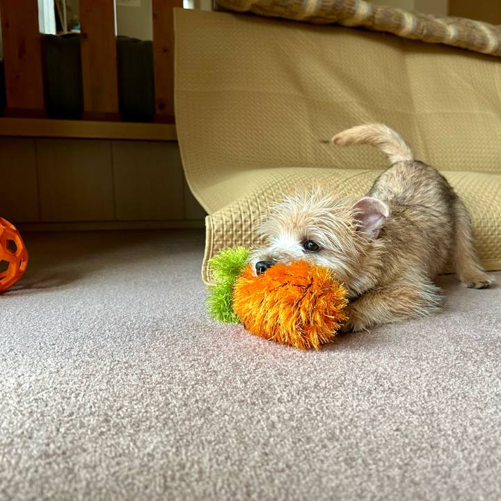 F6c083a7 8389 4dca 9006 939ba739c2ee 1704294137010