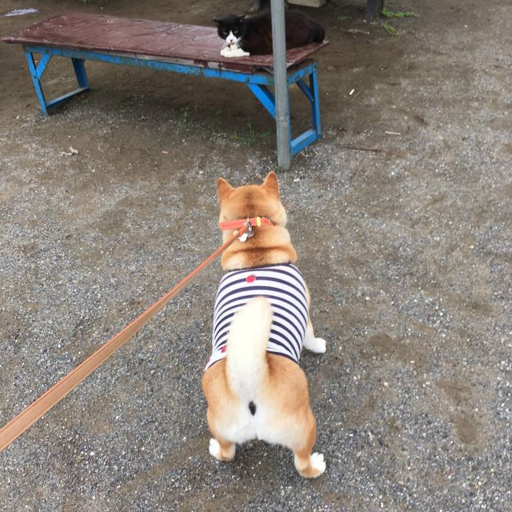 F6c0b5ad 61d2 4215 80ce b58eae18418f 1613299582708